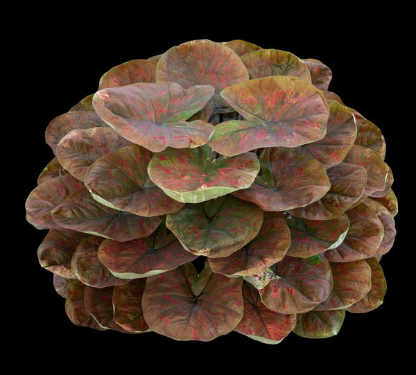 Les bars pas chers à paris : profitez de bons plans festifs !